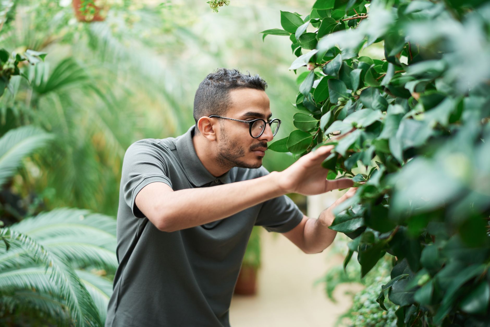 Buscador interactivo de plantas de interior filtrando por mascota y luz