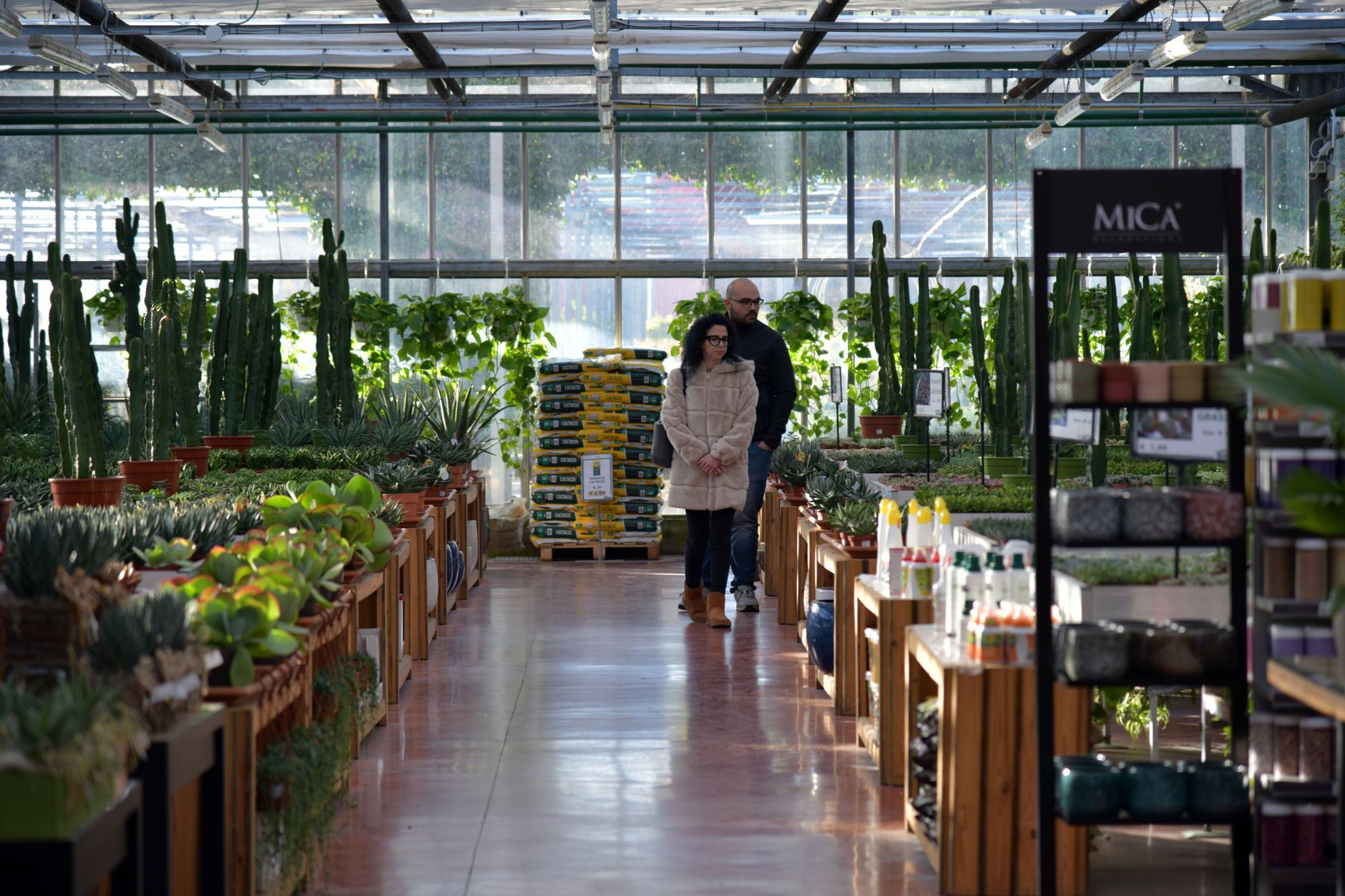 Selección de plantas según luz y exigencia de riego