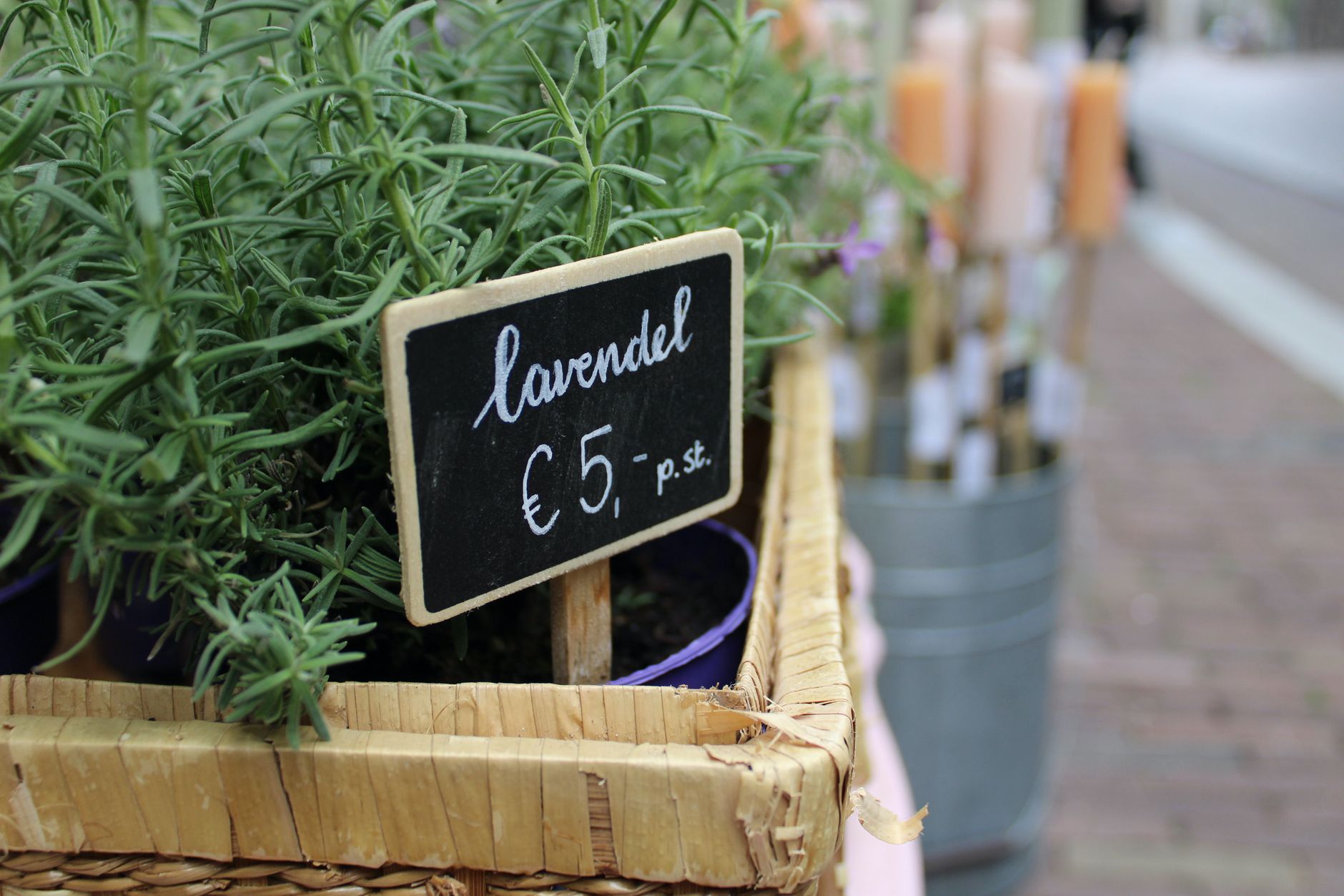 Flores secas de lavanda violetas en manojos atados para uso aromático